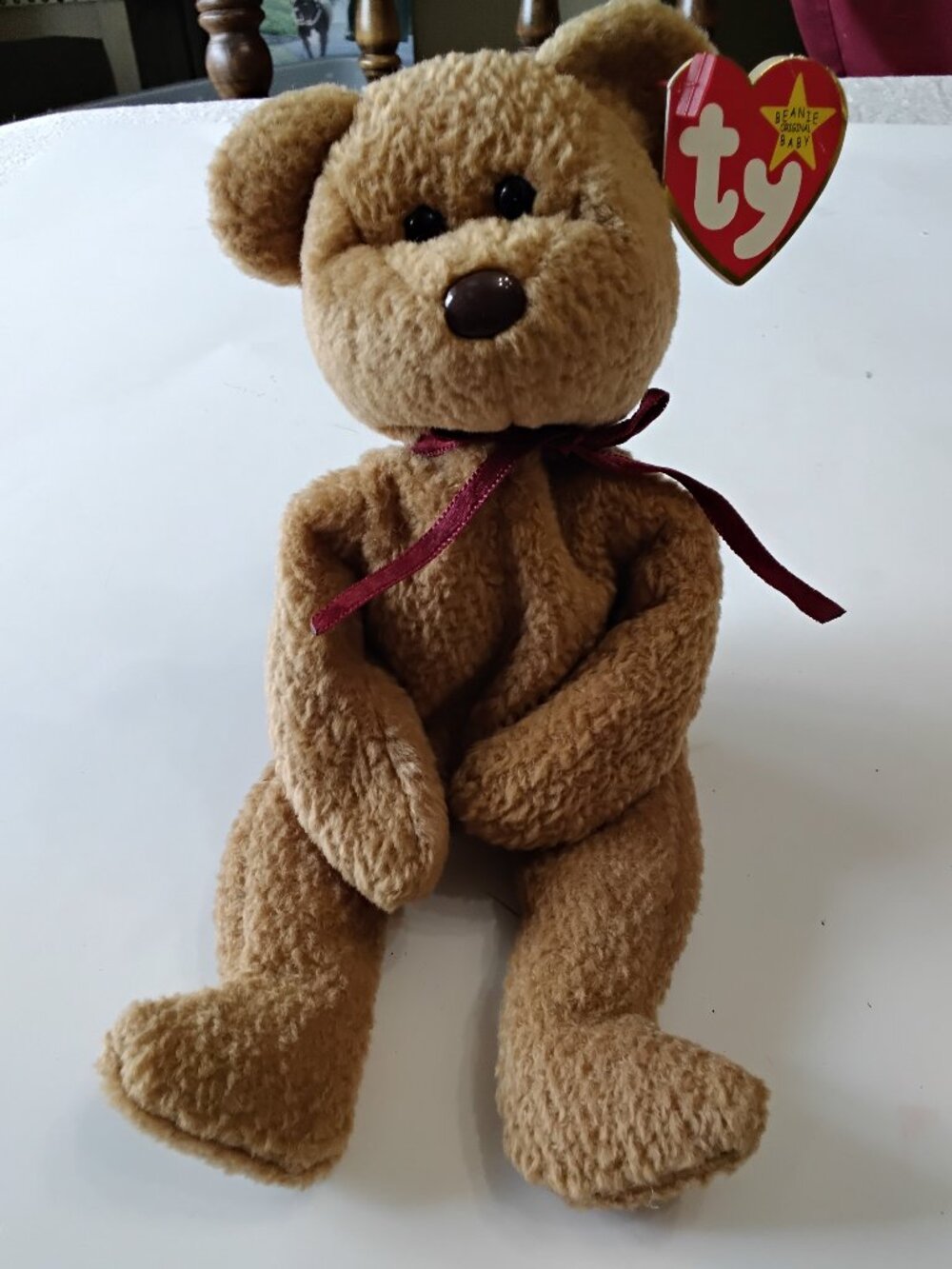 Vintage Ty Beanie Baby - Curly the Bear (1996) - 4th Gen Swing Tag - Great Condi